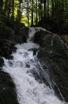 Wasserfall in der Vogelgesang Klamm II