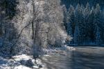 Buhlbachsee