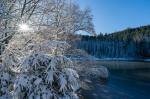 Buhlbachsee