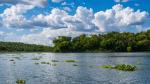 Ankarafantsika Lac Ravelobe