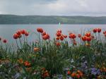 Kurz vor dem Sturm überm Bodensee