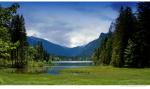 Hintersee [Frühsommer]