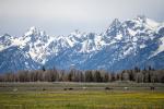 Grand Teton 08