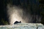 Athabasca Falls 3