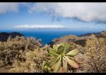 Teneriffa Landschaften4