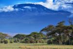 Kilimanjaro