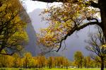 Großer Ahornboden im Herbst