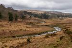 Wicklow Mountains