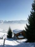 Berg 2