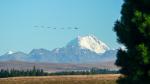 Mt. Aoraki/Mt Cook (NZ)