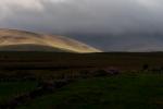 Wid Nephin NP