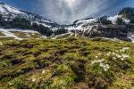 Frühlingsgruss aus den Schweizer Alpen