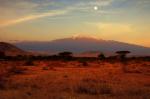 Schnee am Kilimanjaro