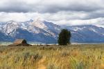 Grand Teton