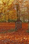 Herbst I