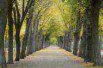 Herbstspaziergang im Schweriner Schlossgarten (1)