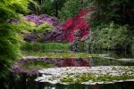 Teich im Wolfsgarten