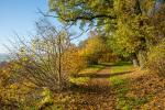 Herbst im Weserbergland 8