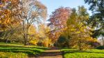 Herbst im Weserbergland 5