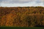 Der Kleine Riesen im Herbstlicht