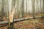 Herbstwanderung Großer Winterberg