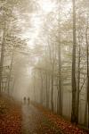 Herbstwanderung Großer Winterberg