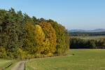 Herbst Bullach 5