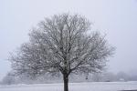 Winteranfang