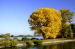 Herbst in Oppenheim