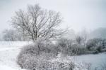 Winterspaziergang mit ingoKober