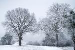 Winterspaziergang mit ingoKober