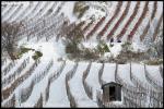 Winter in den Weinbergen bei Wien