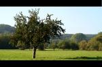 Der Herbst ist da