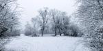 Winterspaziergang mit ingoKober