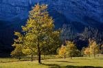 Herbst auf dem Großen Ahornboden -III-