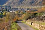 Spätherbst an der Mittelmosel