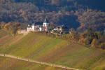 Spätherbst an der Mittelmosel