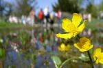 Frühling im Hermannshof