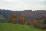 Herbst 2015/8260