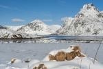 Auf dem Weg zum Nusfjord