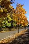 Herbststrasse