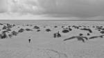 Nordsee 3