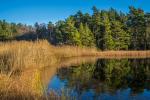 Herbst in Schweden