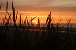 Langeooger Dünen im Sonnenuntergang