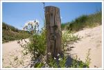 Holz und Sand