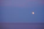 Blue Moon