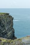 Cliffs of Kilkee 14