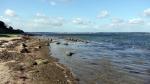 Ostsee im Herbst 3