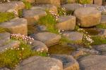 Giants Causeway