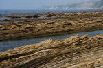 Flysch-Felsen